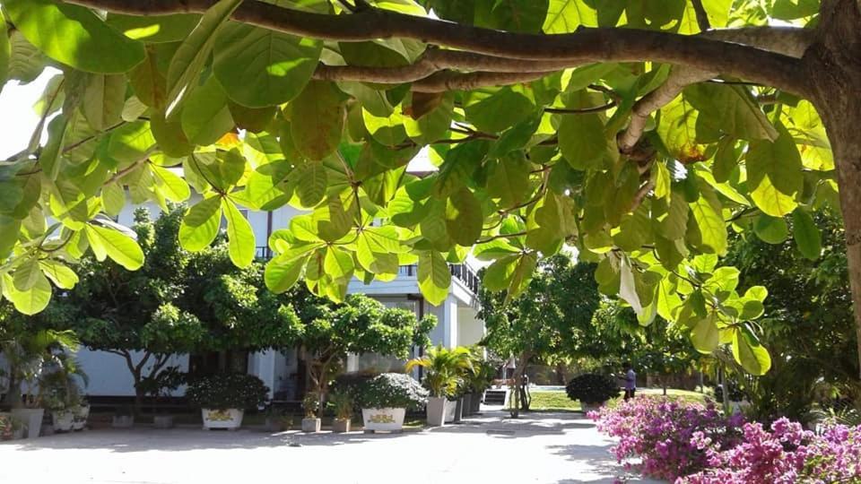Sea Lagoon Beach Hotel 亭可马里 外观 照片