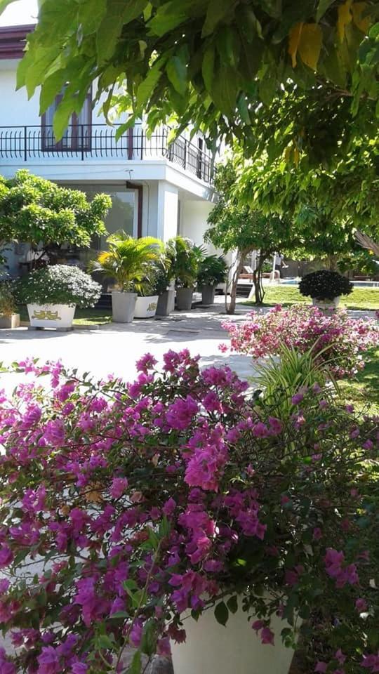 Sea Lagoon Beach Hotel 亭可马里 外观 照片